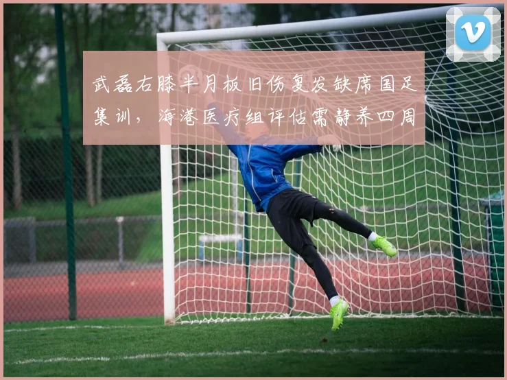 武磊右膝半月板旧伤复发缺席国足集训，海港医疗组评估需静养四周